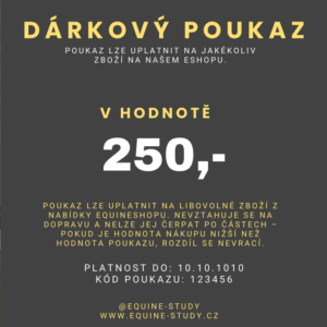 Poukaz na e-shop