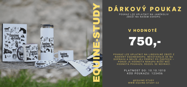 Poukaz na e-shop - Obrázek 3