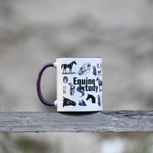 Hrneček Equine- study (Merch 2025)