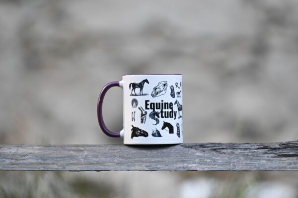 Hrneček Equine- study (Merch 2025)